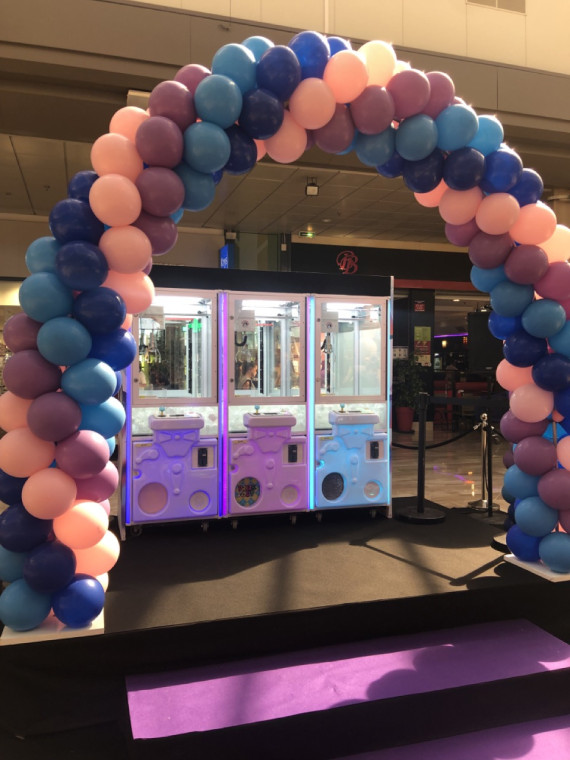 Location machine à pince personnalisée à la journée