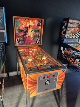 Flipper Punk Gottlieb OCCASION